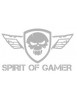 SPIRIT OF GAMER